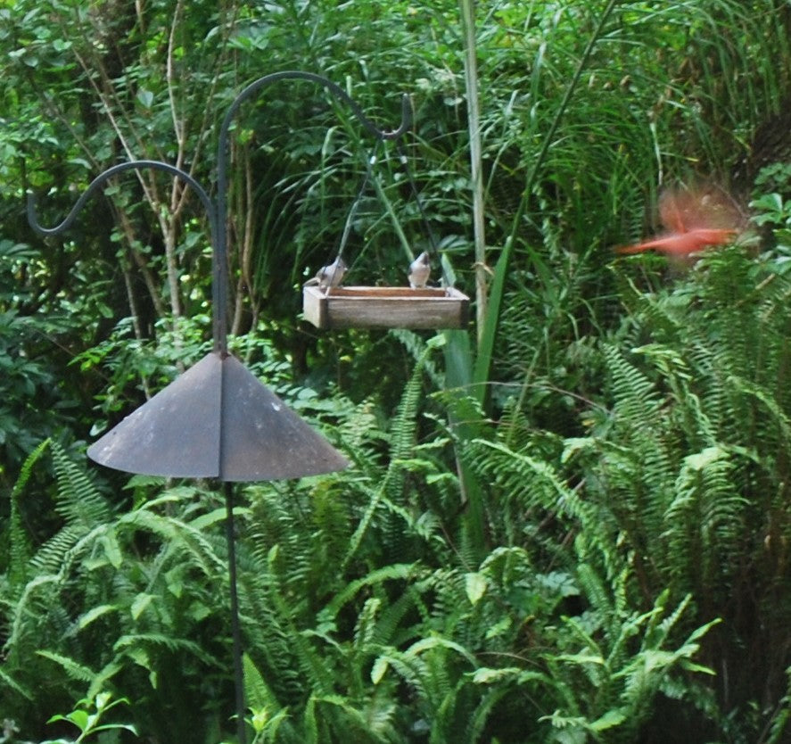 Two Titmouse and New Collectible Thimbles