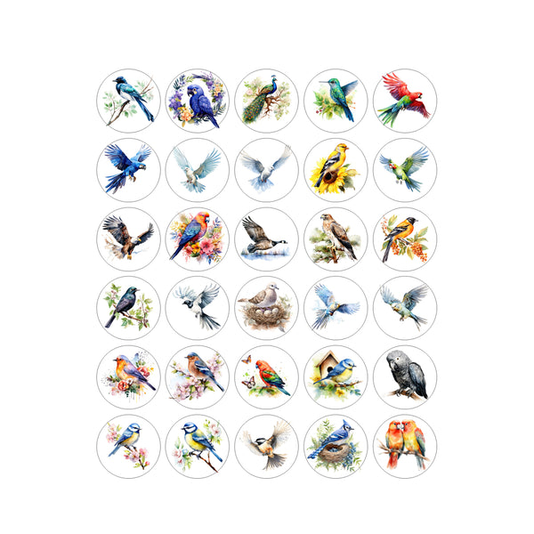 Set of circular stickers with various bird illustrations on a white background