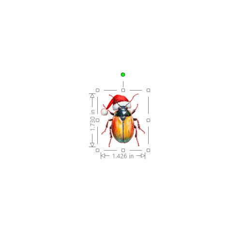 Colorful beetle with measurement indicators on a white background