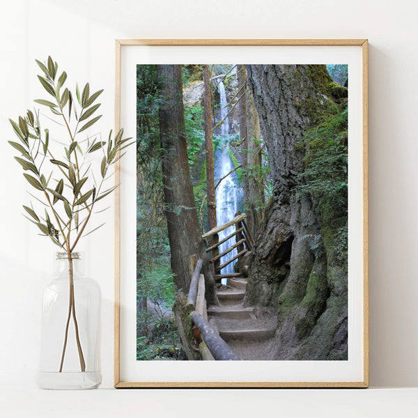 Wall Art Prints for Living Room Photography
8x10 Hiking Path National Park Photo Print – Rustic Forest Trail, Matte Finish, Ready to Hang, Shipped Flat