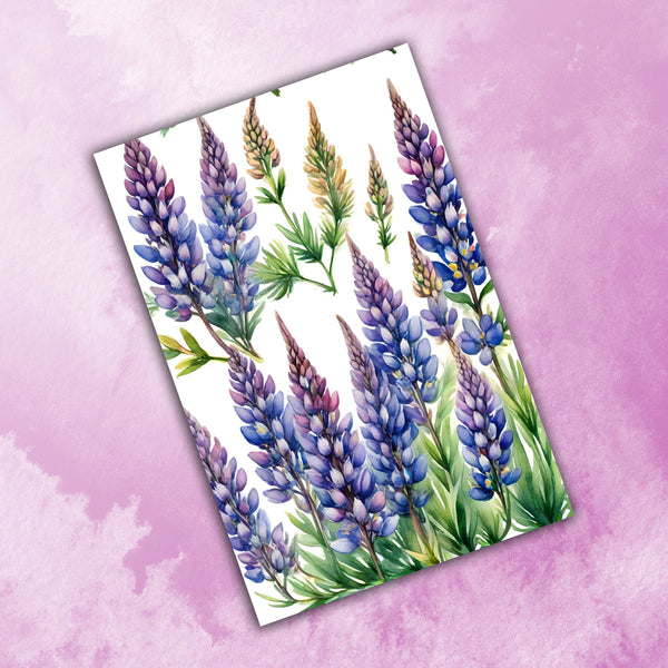 6 Handmade Lupine – Blank Inside – Folded 4x6 Every Occasion Cards with White Envelopes