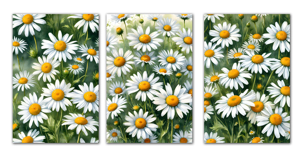 6 Handmade Shasta Daisies – Blank Inside – Folded 4x6 Every Occasion Cards with White Envelopes