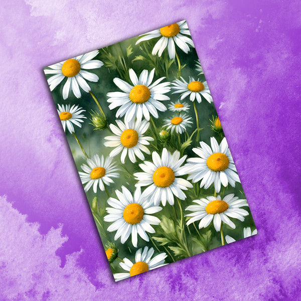 6 Handmade Shasta Daisies – Blank Inside – Folded 4x6 Every Occasion Cards with White Envelopes