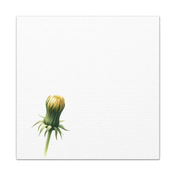 Minimalist Dandelion Canvas Print 4 Panel