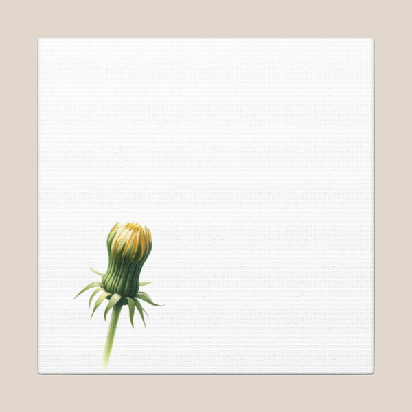 Minimalist Dandelion Canvas Print 4 Panel