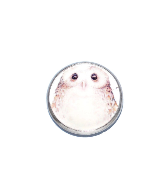 Owl Kitchen Magnets, Fridge Magnets, Refrigerator Magnets