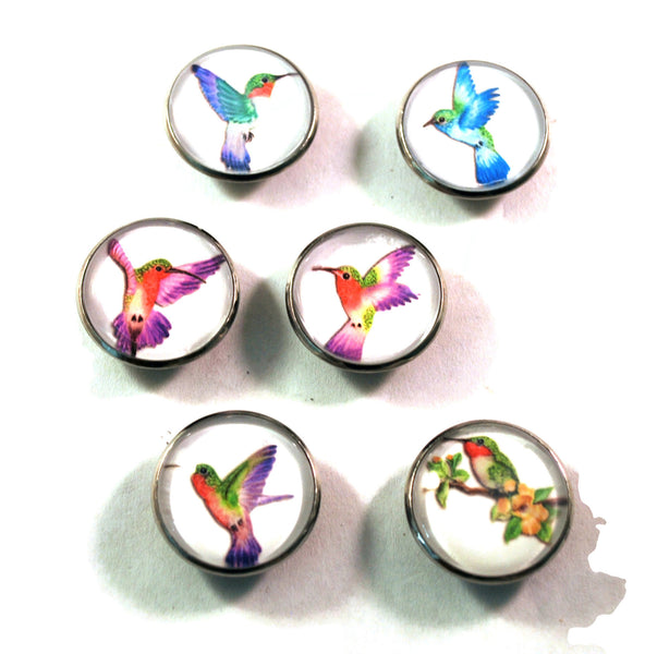 Hummingbird Kitchen Magnets, Fridge Magnets, Refrigerator Magnets