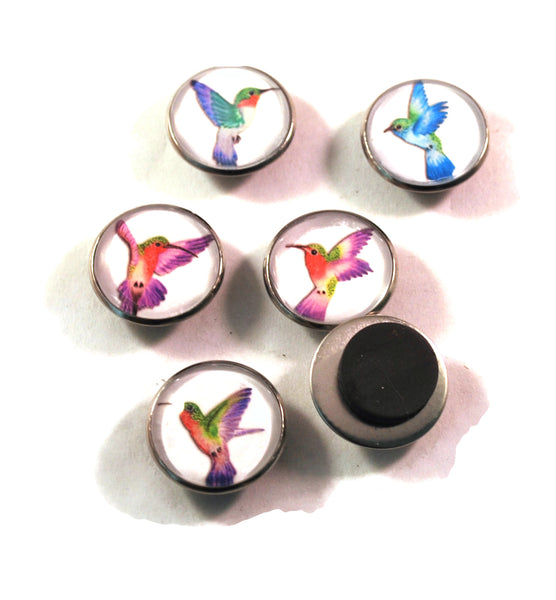Hummingbird Kitchen Magnets, Fridge Magnets, Refrigerator Magnets