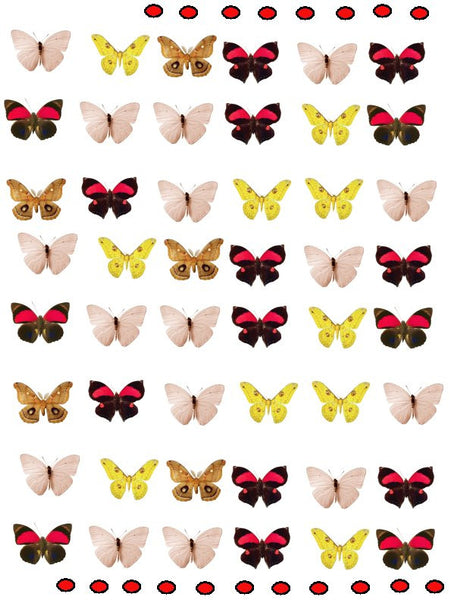 waterslide decals