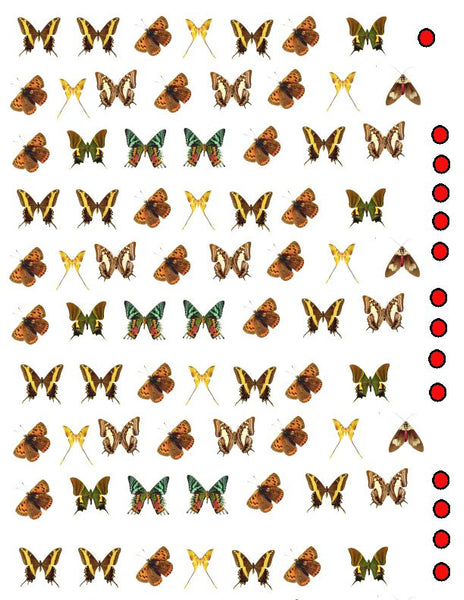 waterslide decals