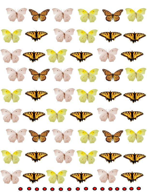 waterslide decals