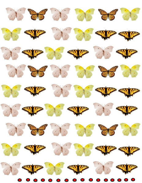 waterslide decals