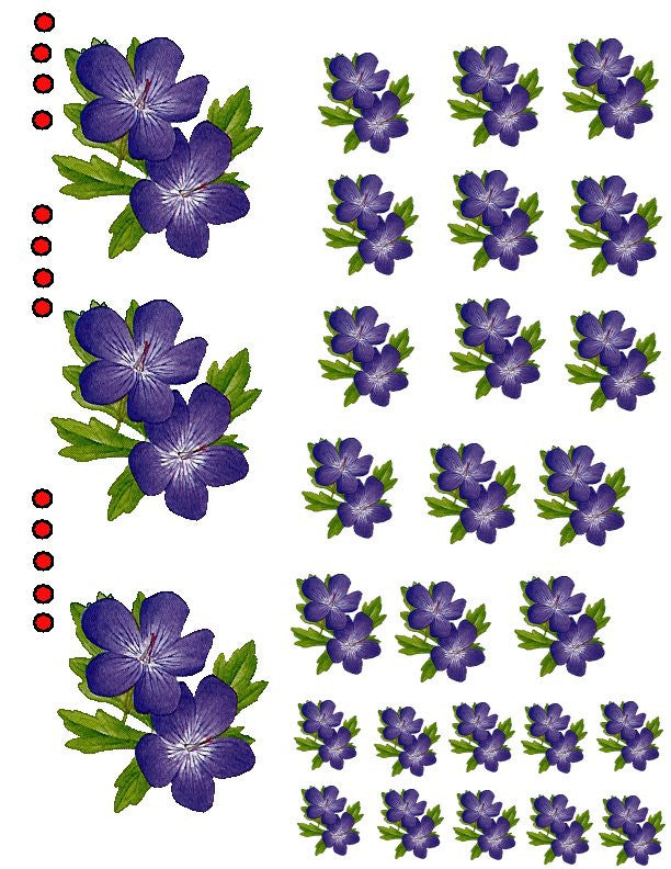 waterslide decals