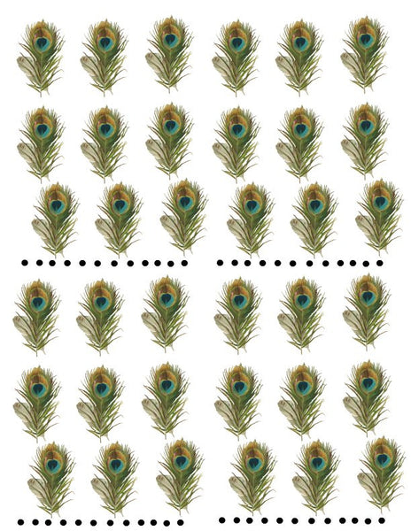 waterslide decals