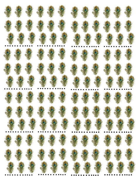 waterslide decals