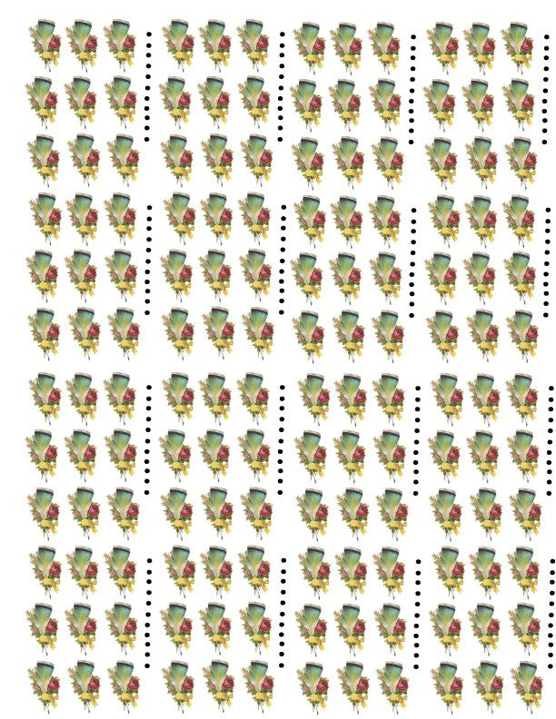 waterslide decals