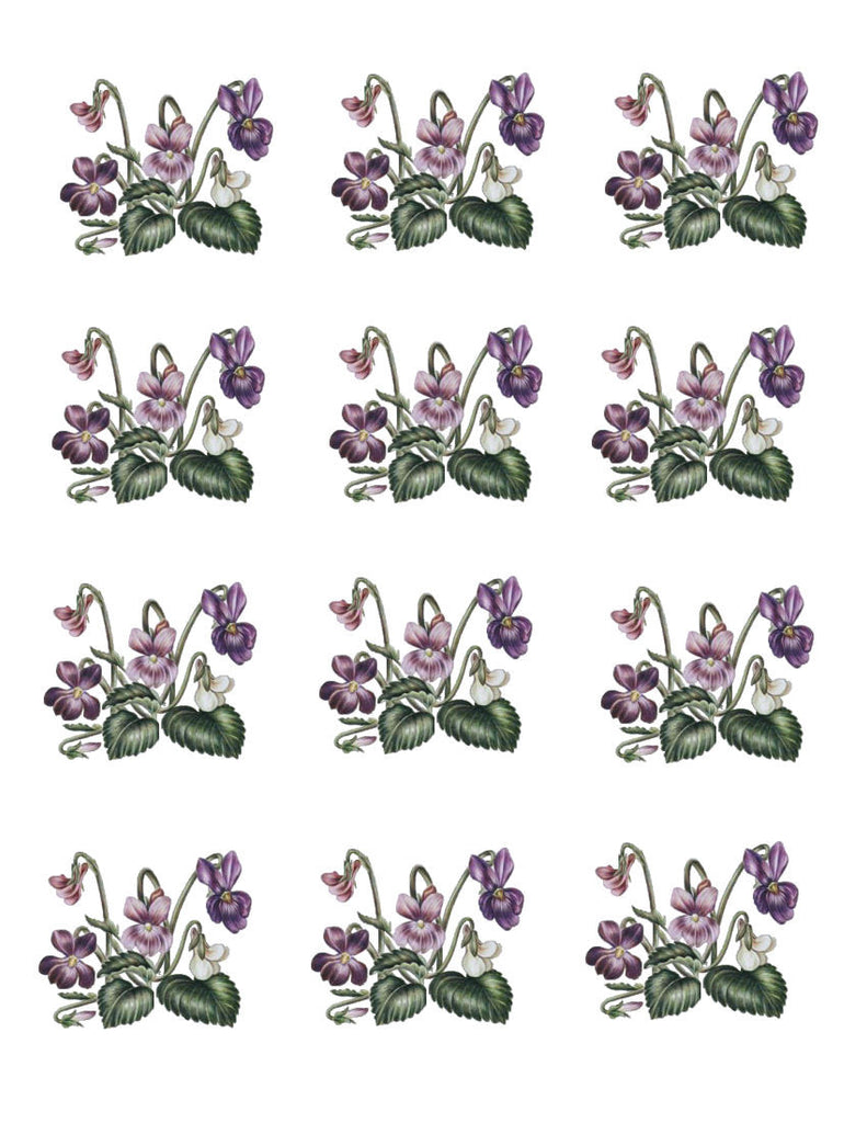 waterslide decals