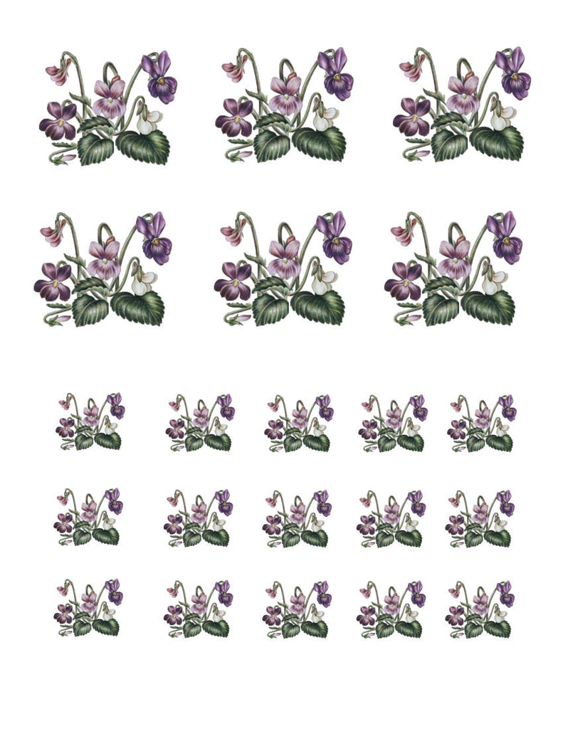 waterslide decals