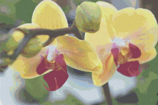 cross stitch pattern