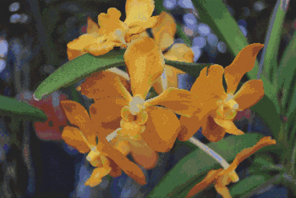 cross stitch pattern