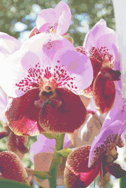 cross stitch pattern