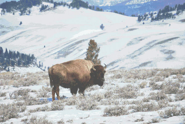 Bison Counted Cross Stitch Pattern, Download Printable