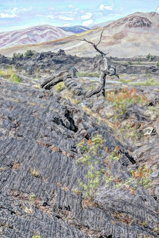 Craters Of The Moon Art Poster Print National Park Idaho