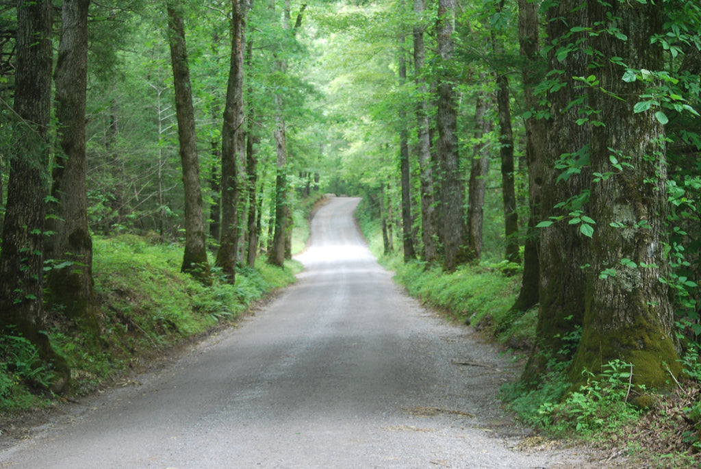 Winding Roads and Socks