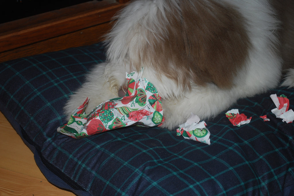 Puppy Presents on Harry's First Christmas