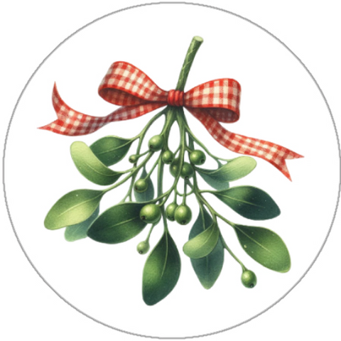 Mistletoe with a red checkered bow on a white background