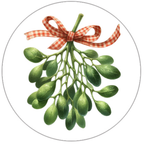 Green mistletoe with a red and white checkered bow on a white background