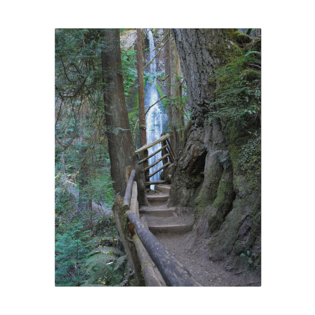 Wooded Trail Waterfall Hiking Art Canvas Print 4 Sizes Ecofriendly