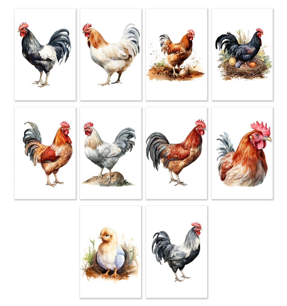 10 Handmade Chickens – Blank Inside – Folded 4x6 Every Occasion Cards with White Envelopes