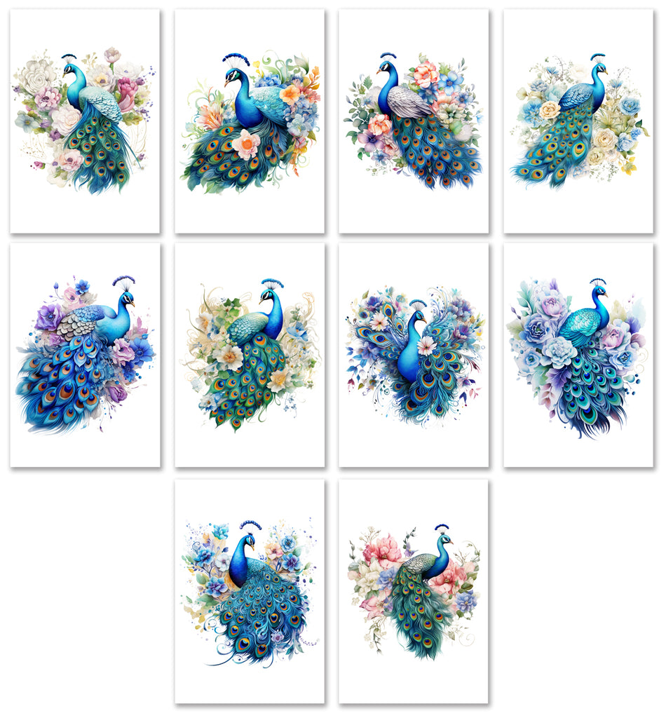 10 Handmade Peacocks – Blank Inside – Folded 4x6 Every Occasion Notecards with White Envelopes