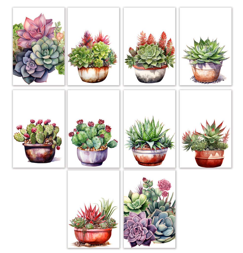 10 Handmade Succulents– Blank Inside – Folded 4x6 Every Occasion Cards with White Envelopes