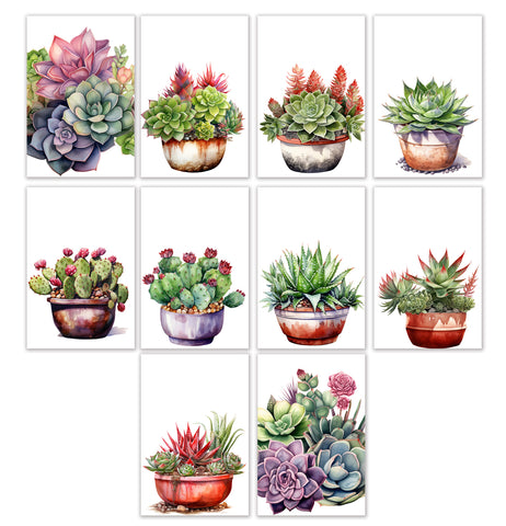 10 Handmade Succulents– Blank Inside – Folded 4x6 Every Occasion Cards with White Envelopes