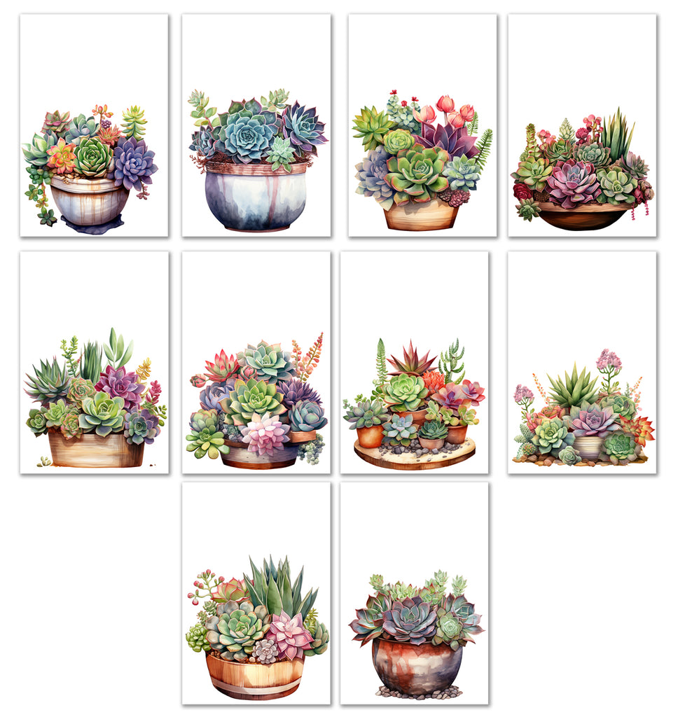 10 Handmade Succulents– Blank Inside – Folded 4x6 Every Occasion Cards with White Envelopes