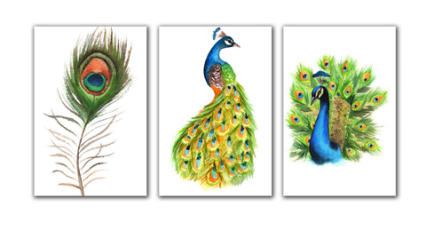 6 Handmade Peacock– Blank Inside – Folded 4x6 Every Occasion Cards with White Envelopes