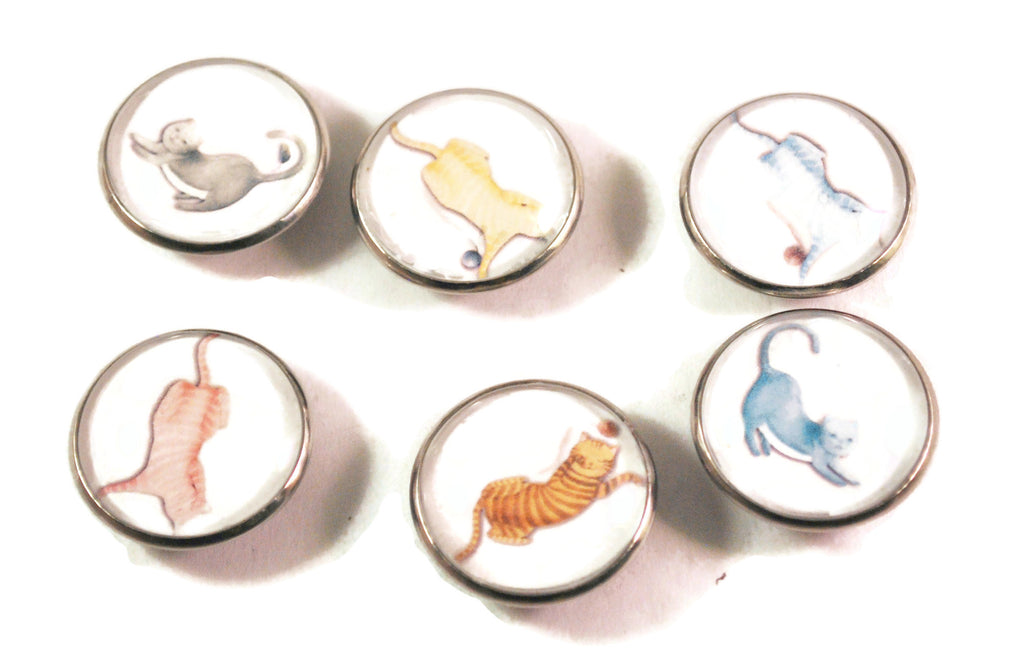 Set of 6 Cat Kitchen Magnets, Fridge Magnets, Refrigerator Magnets