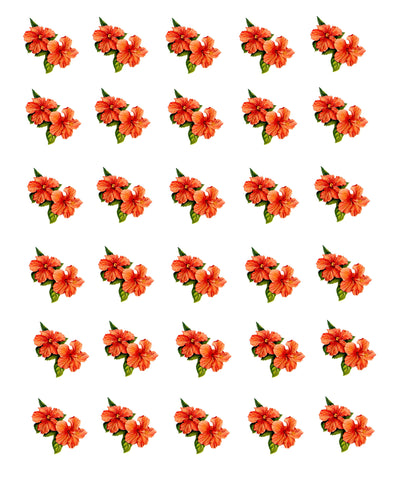waterslide decals