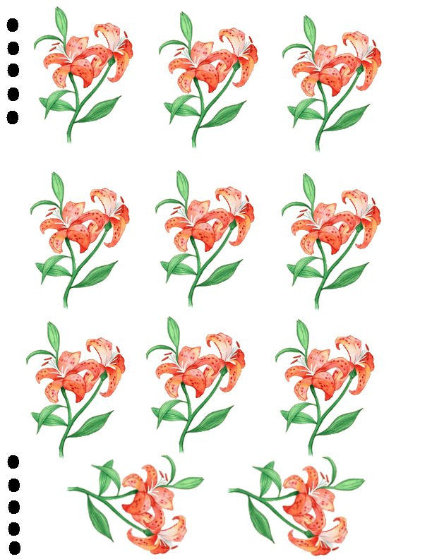 waterslide decals