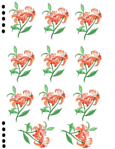 waterslide decals