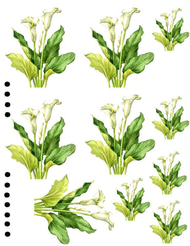 waterslide decals