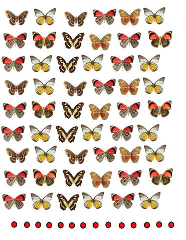 waterslide decals