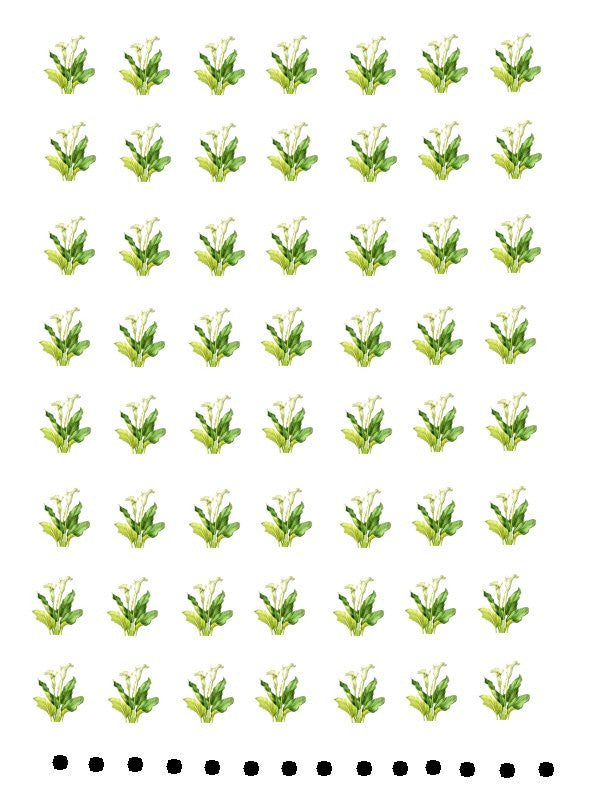waterslide decals