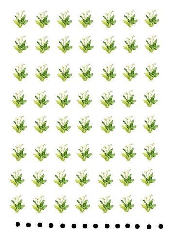 waterslide decals