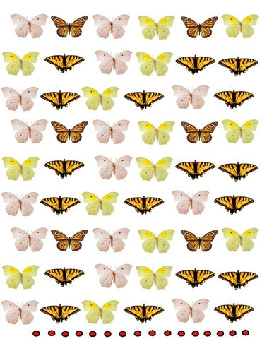 waterslide decals