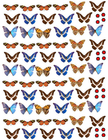 waterslide decals
