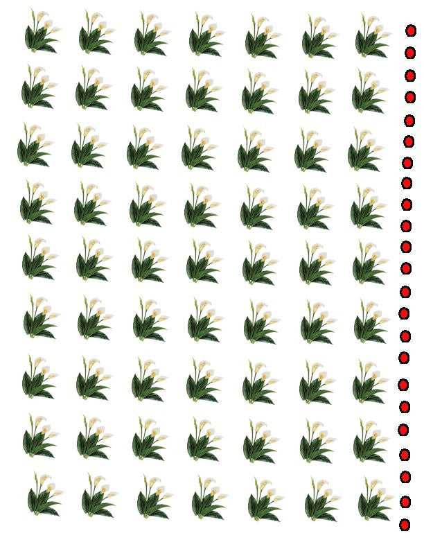 waterslide decals