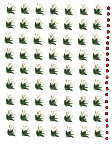 waterslide decals